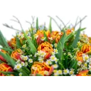 Kytice prémiových tulipánů